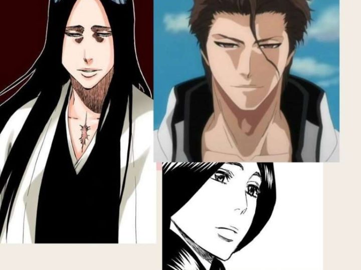 Bleach: Who Would Win: Unohana VS Aizen ?