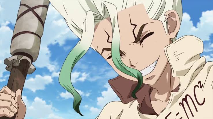 Dr. Stone