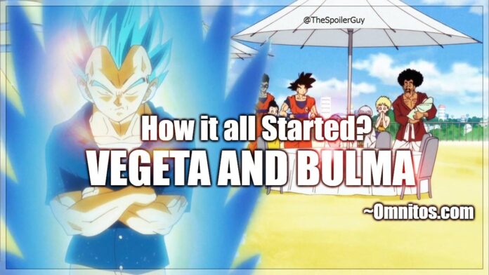 Vegeta and Bulma – Dragon Ball Super