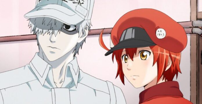 Cells at work