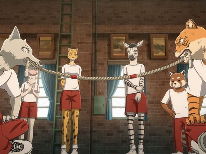 Beastars Season 2 Episode 7 Release Date, Time, And Spoilers