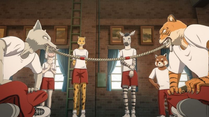 Beastars Season 2 Episode 7 Release Date, Time, And Spoilers