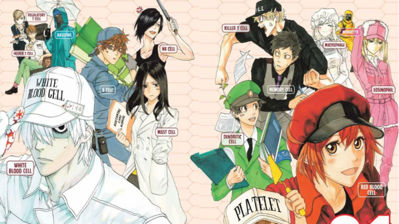 Cells At Work 2nd Season And Code Black Premieres In January 2021