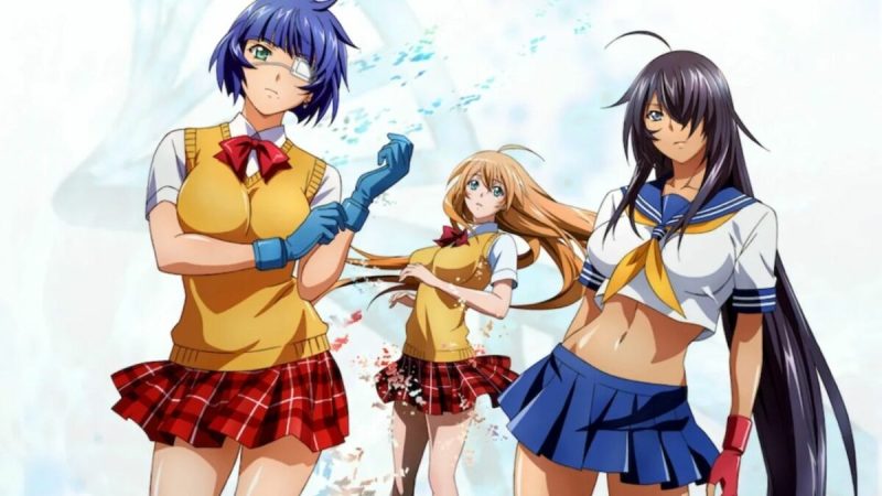 Studio Arms (Ikki Tousen, Elfen Lied) Declares Bankruptcy