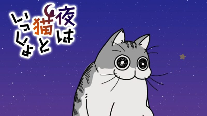 ‘Nights with a Cat’ Anime’s Teaser Previews a House Cat’s Erratic Behavior