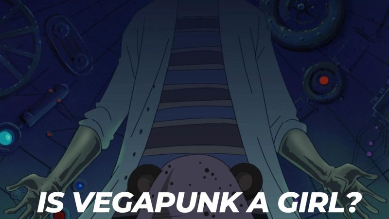 One Piece 1061 Spoilers Introduces Vegapunk: Is Vegapunk A Girl?