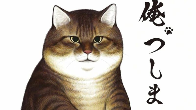 Shogakukan Gives the Perfect ‘Cat Day’ Gift by Announcing Ore, Tsushima Anime