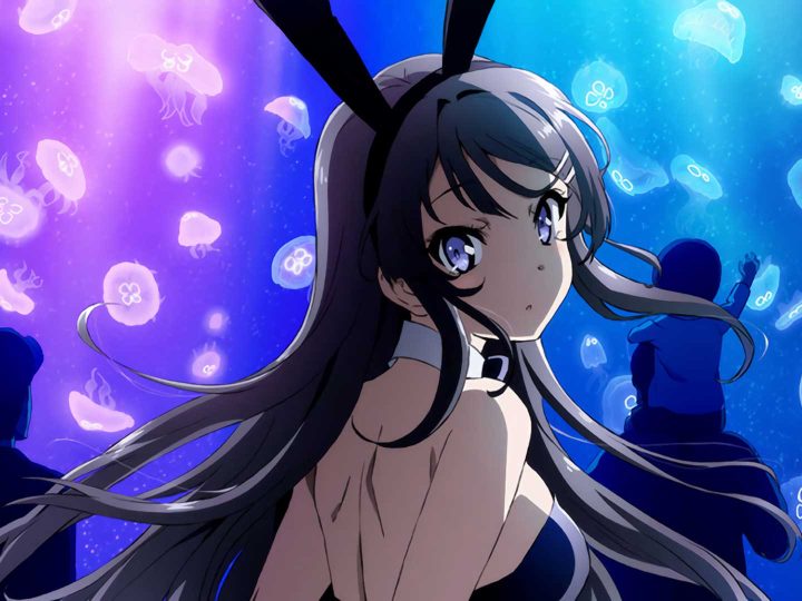 Rascal Does Not Dream Of Bunny Girl Senpai Season 2: 2022 Return? Final Updates