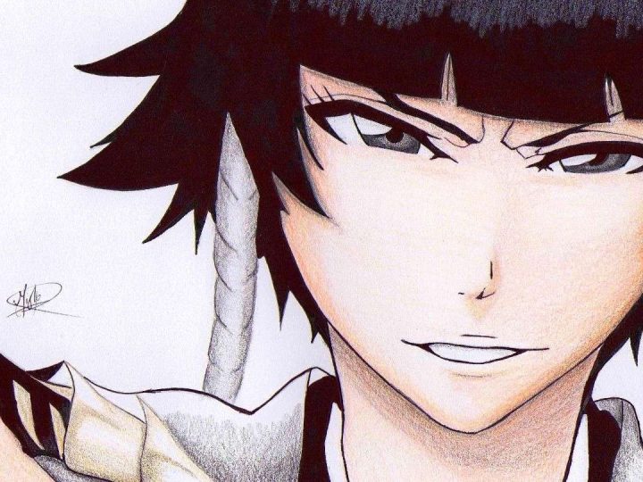 Bleach: Soi Fon’s Zanpakutou Suzumebachi