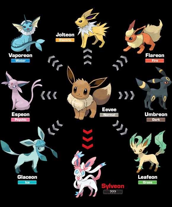 eevee-eight-evolution-pokemon