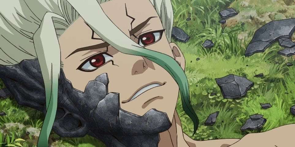 DrStone