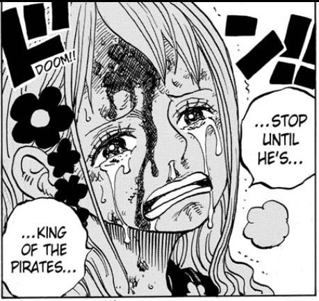 One Piece Chapter 1043