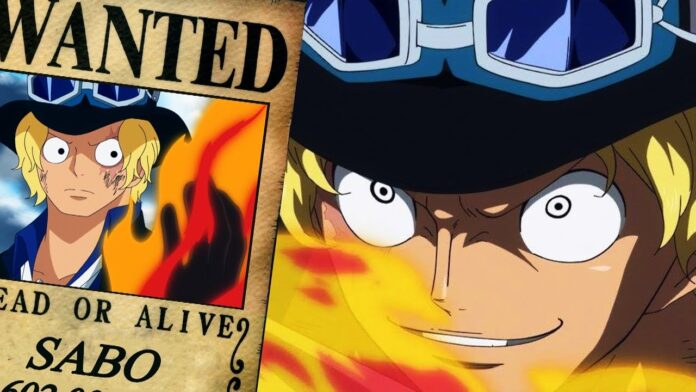 One Piece Creator Revealed Grown Up Sabo