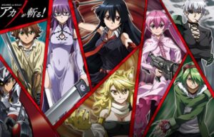 Akame Ga Kill