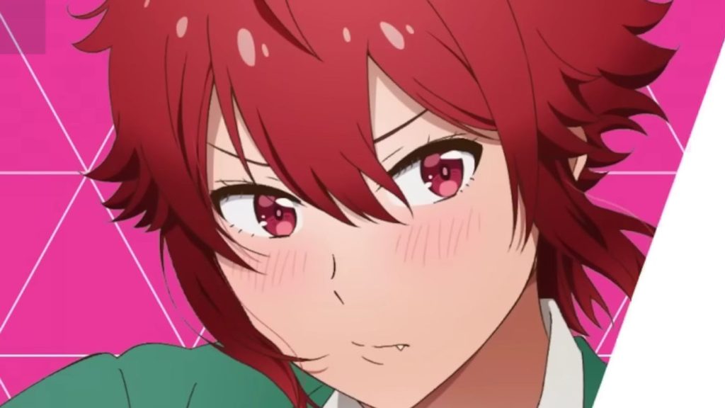 Tomo Chan Is A Girl Anime