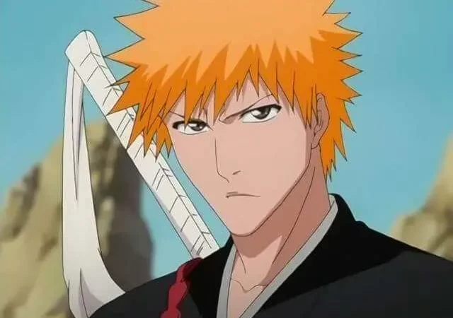 Bleach (anime): Where do soul reapers go when they die?