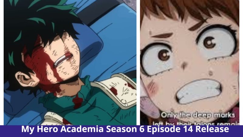My Hero Academia Season 6 Episode 14: Finale! Heroes Loss? Publication Date