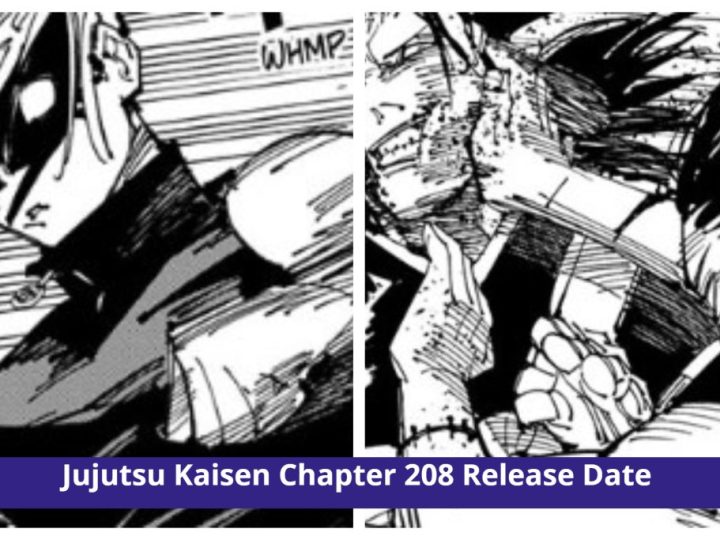 Jujutsu Kaisen 208 cover