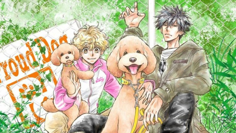 NHK Confirms Anime Adaptation of ‘Dog Signal’ Slated for Fall 2023