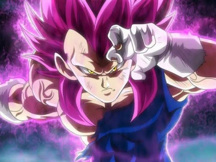 Will Vegeta Become God of Destruction? 