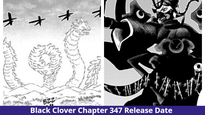 Black Clover Chapter 347: Ichika’s Horrifying Past! Release Date & More