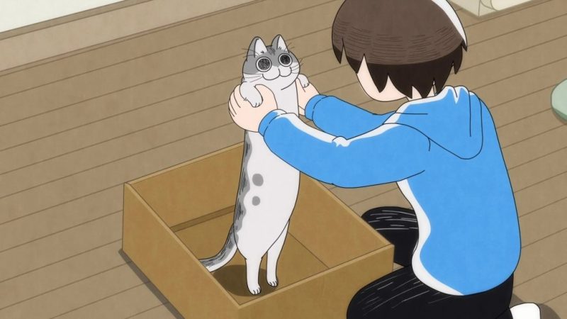 Nights With The Cat Season 2: Announced at Last! Release Date & Plot Details