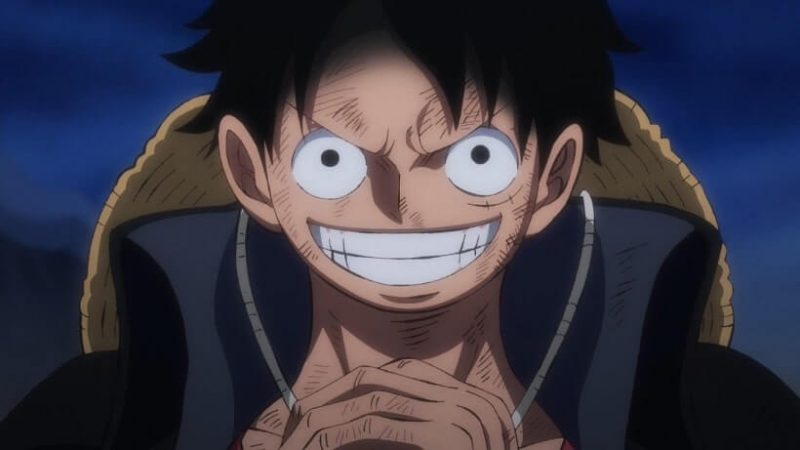 Several reasons why Monkey D. Luffy will become the Pirate King