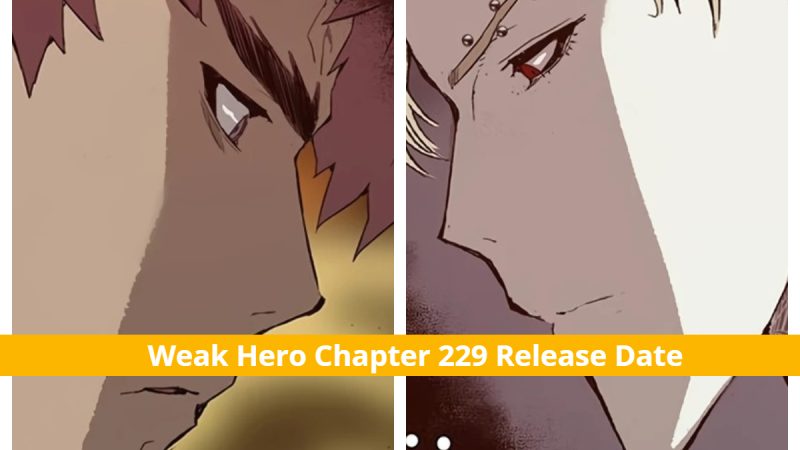 Weak Hero Chapter 229: Ultimate Battle! Publication Date & Plot