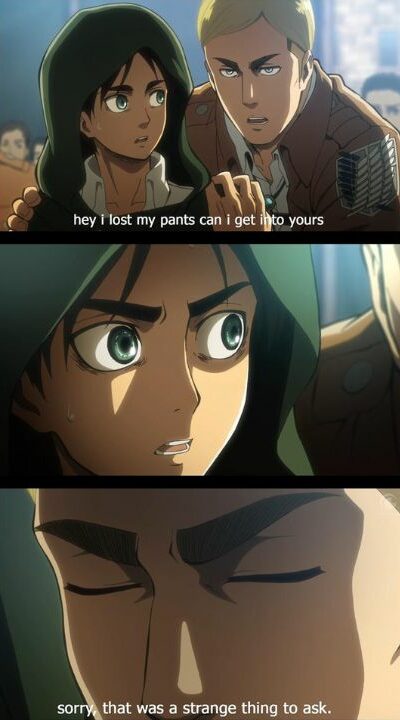 Erwin meme