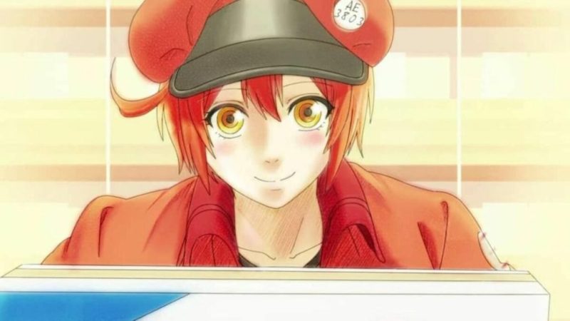 Cells at Work New Spinoff Manga