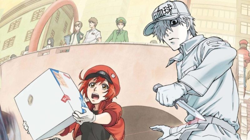 Time to Study as Cells at Work! Two New Spinoffs to Continue in the Manga Universe!