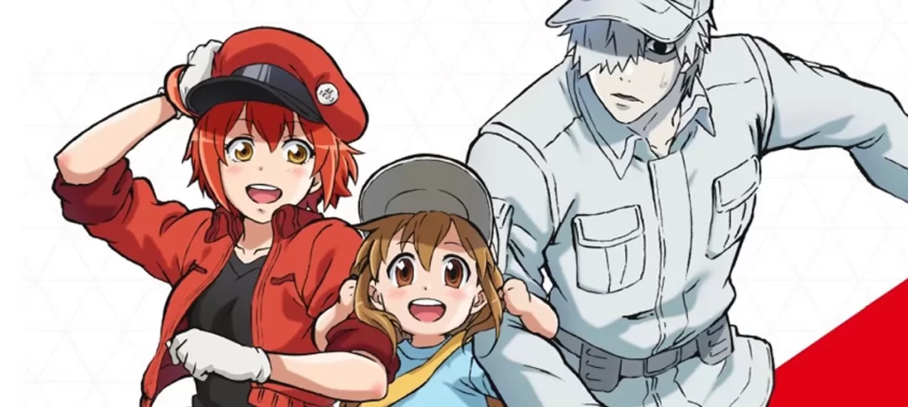 Cells at Work!