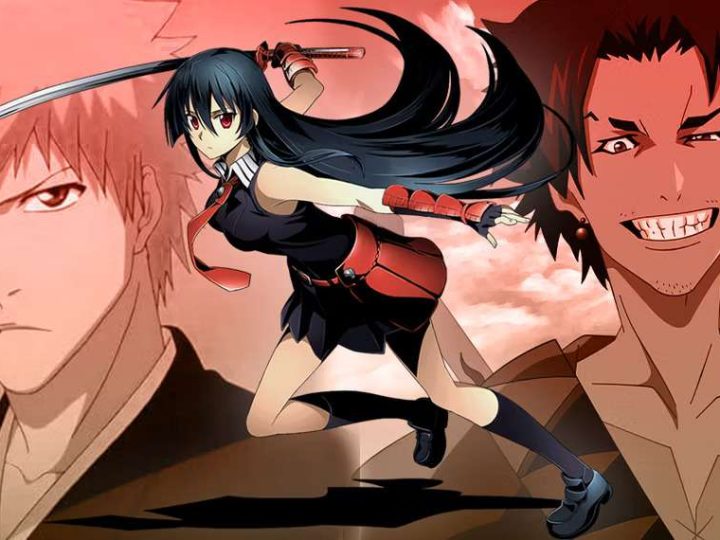 Five Best Swordsmen In Anime, Ranked