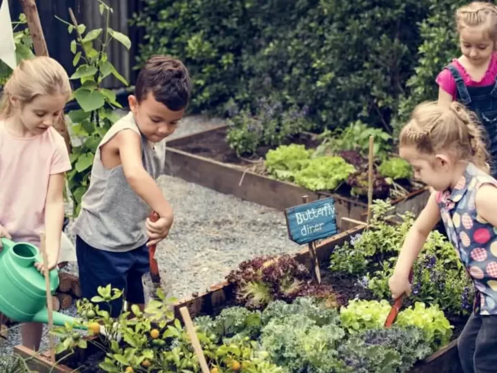 Five Gardening Activities To Soothe Your Stress This Summer