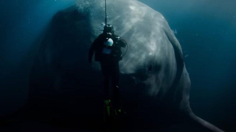 Meg 2: The Trench Trailer Breakdown: The Summer’s Biggest Shark Attack!