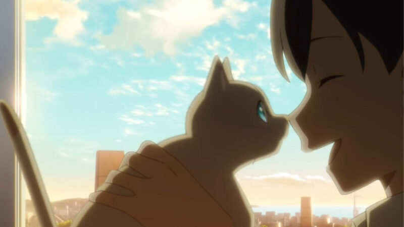 Top 10 Anime for Every Cat Lover