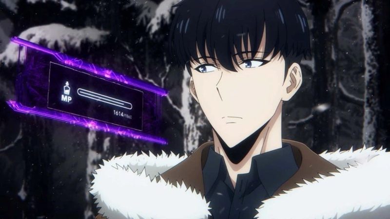 Who Are The National Level Hunters In Solo Leveling?